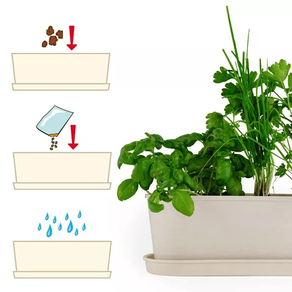 Aromaten - Bamboe plantenbak