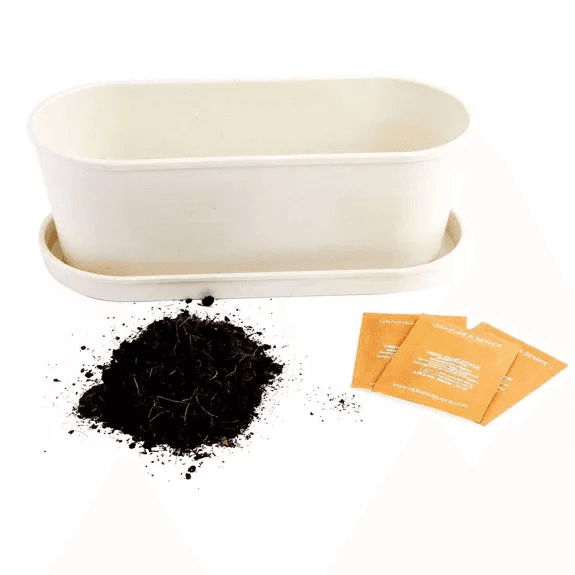 Aromaten - Bamboe plantenbak