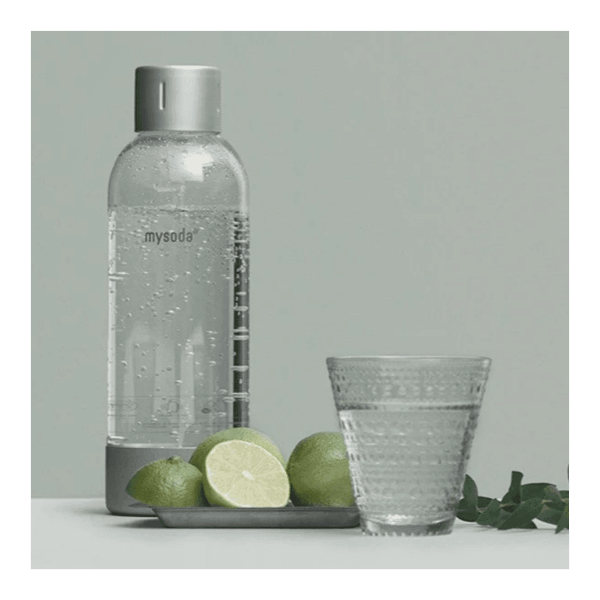Premium waterfles 1 l - Zilver - MySoda
