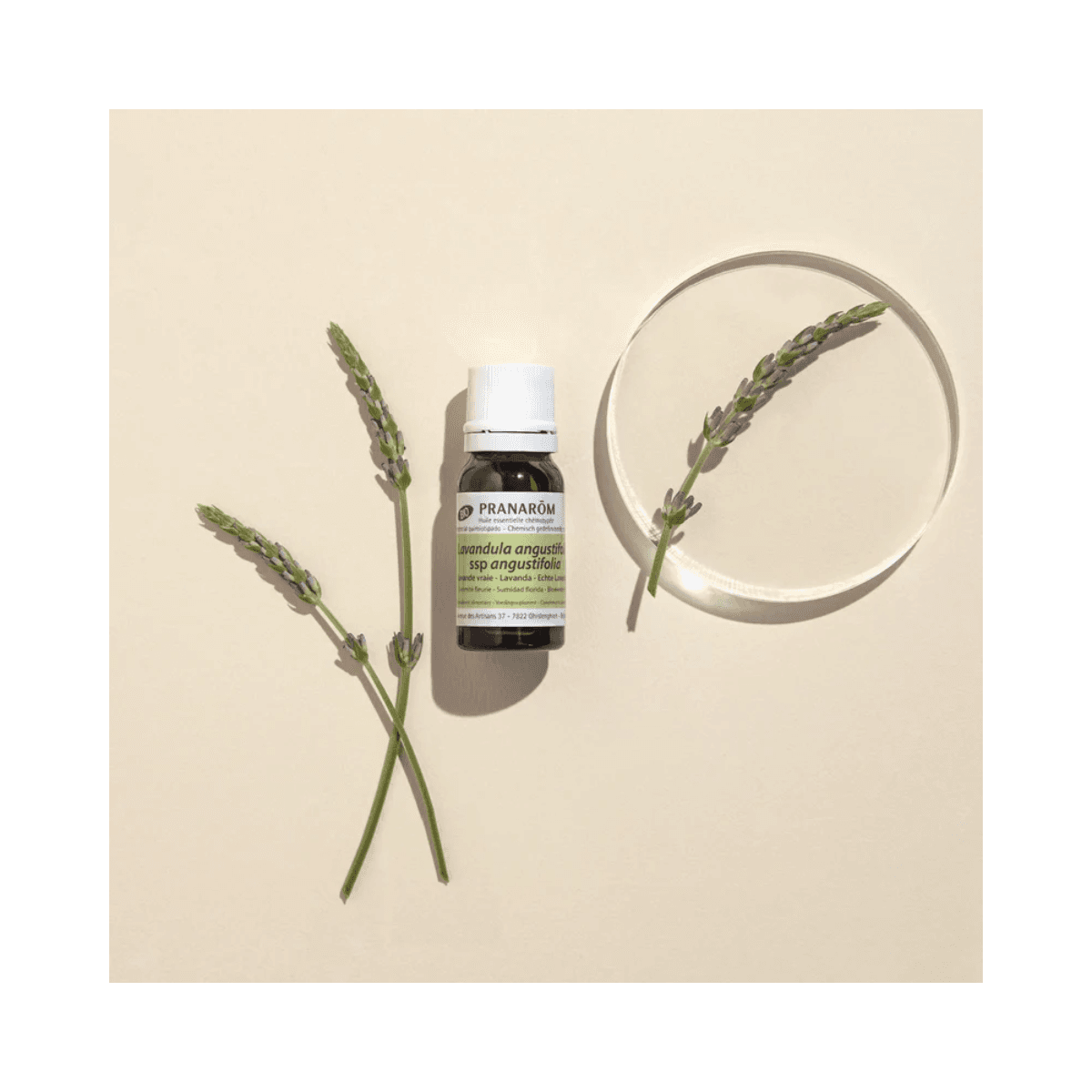 Echte lavendel biologische etherische olie 10ml