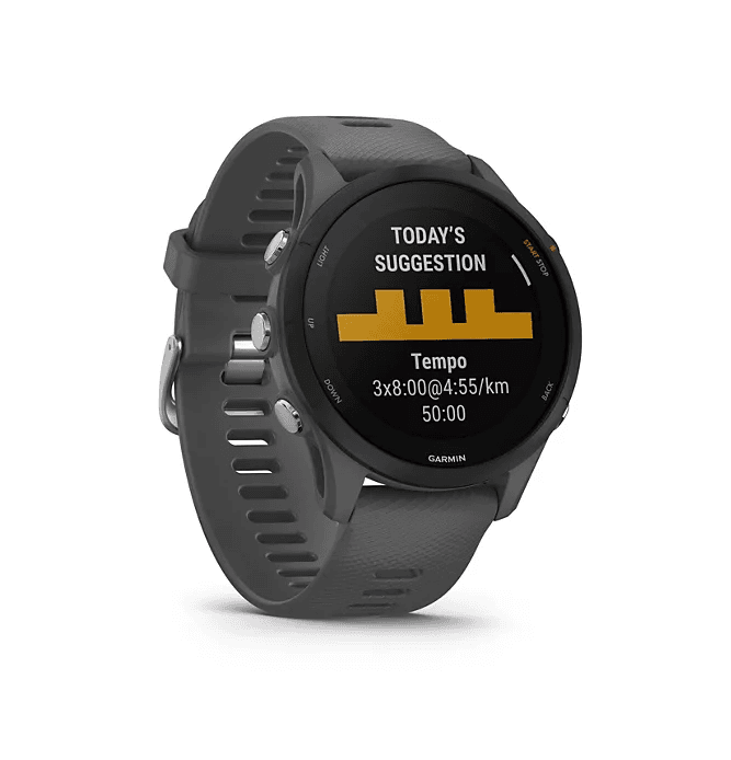 Horloge Garmin Forerunner 255 - Slate Grey