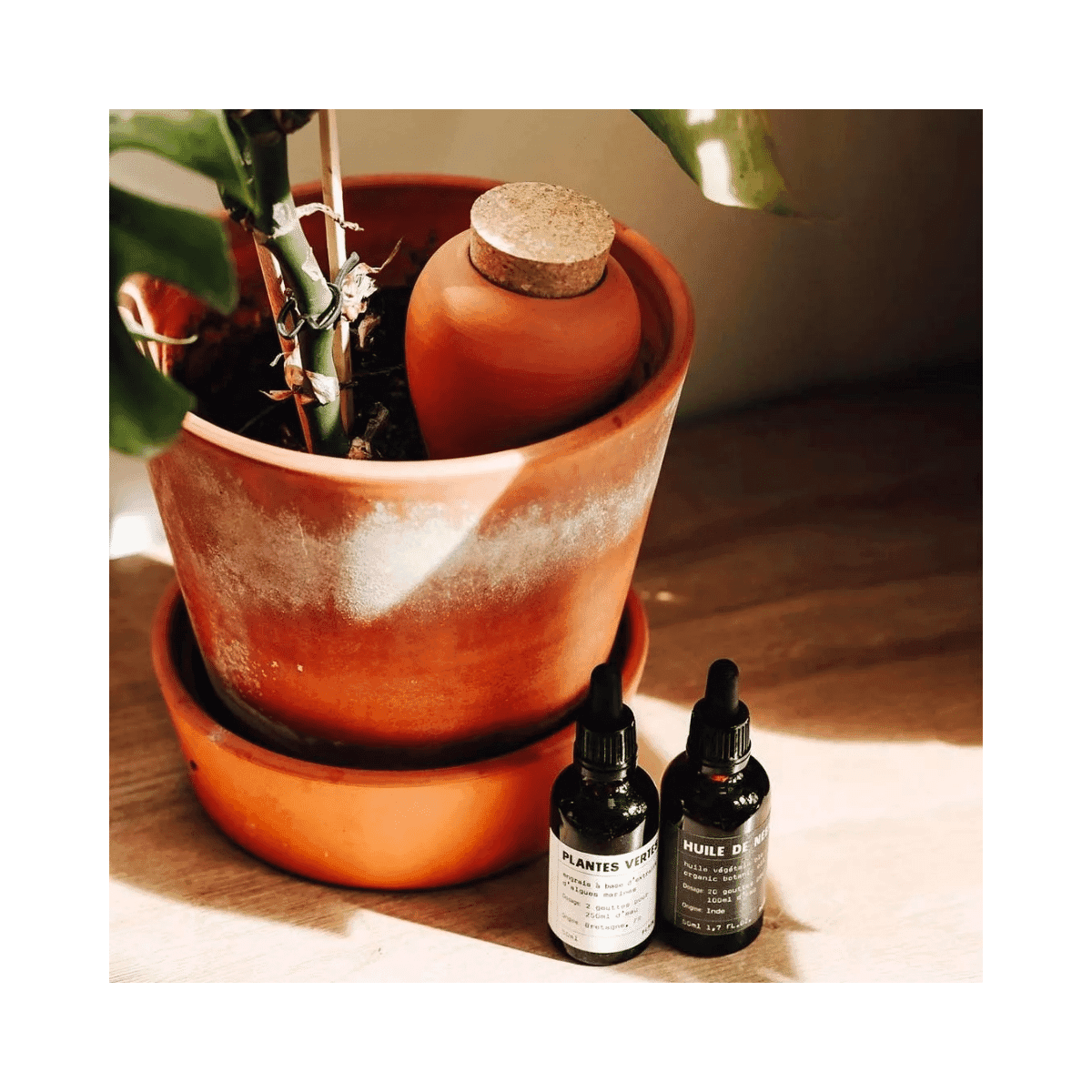 Pepin hydraterende olla - Terracotta