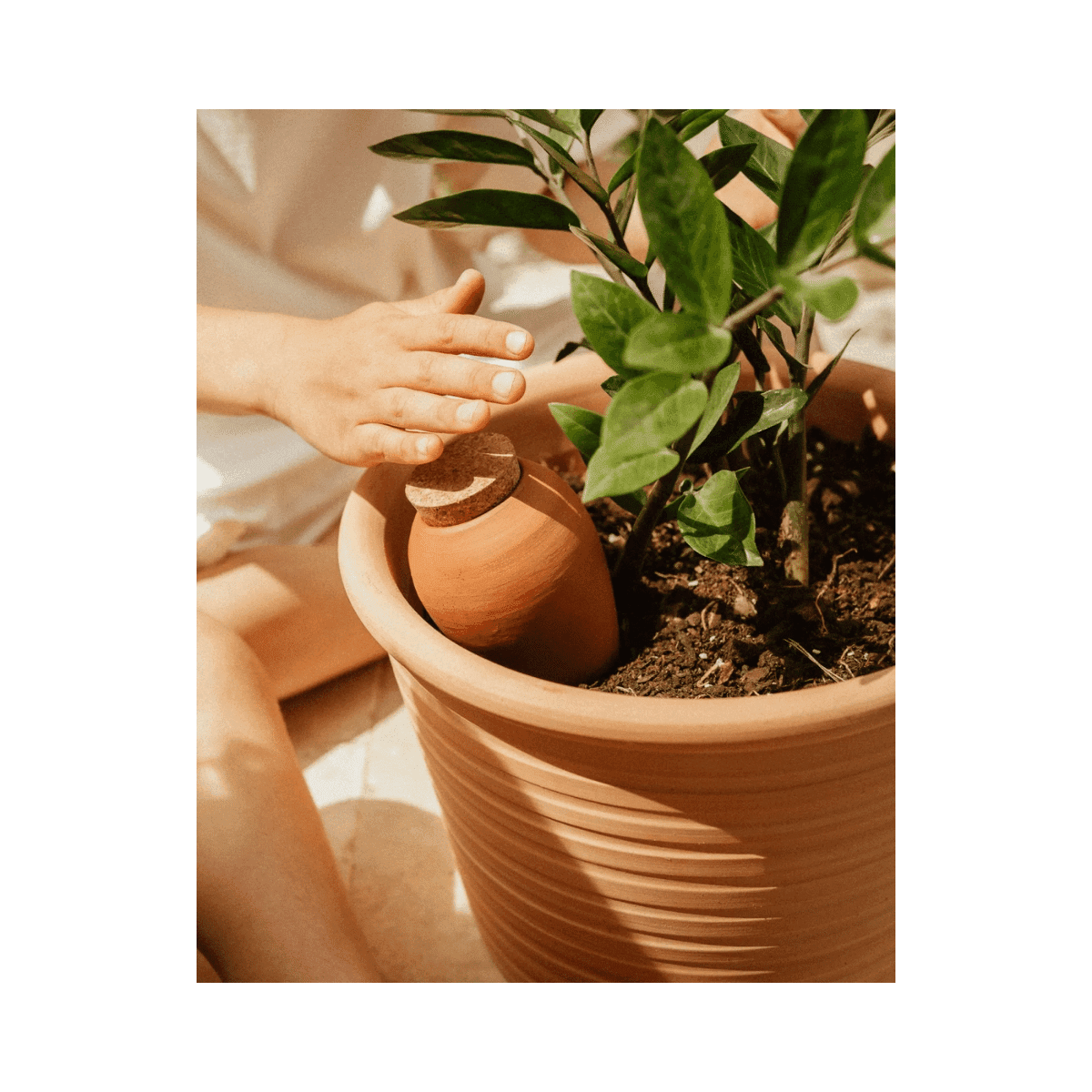 Pepin hydraterende olla - Terracotta