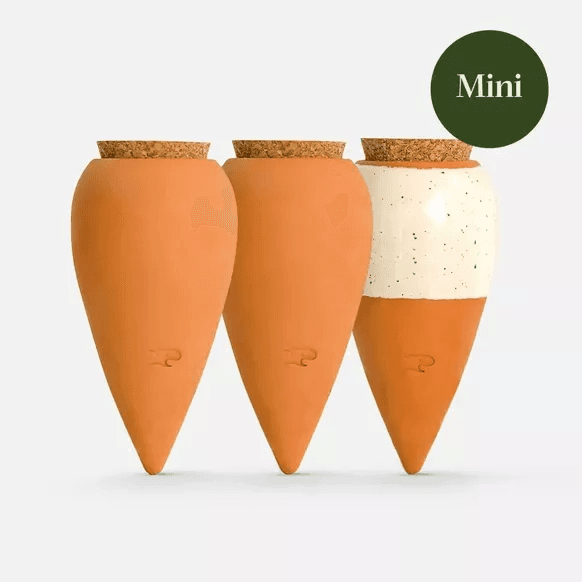 Trio Mini Ollas – Natuurlijk en automatisch bewateringssysteem voor je planten
