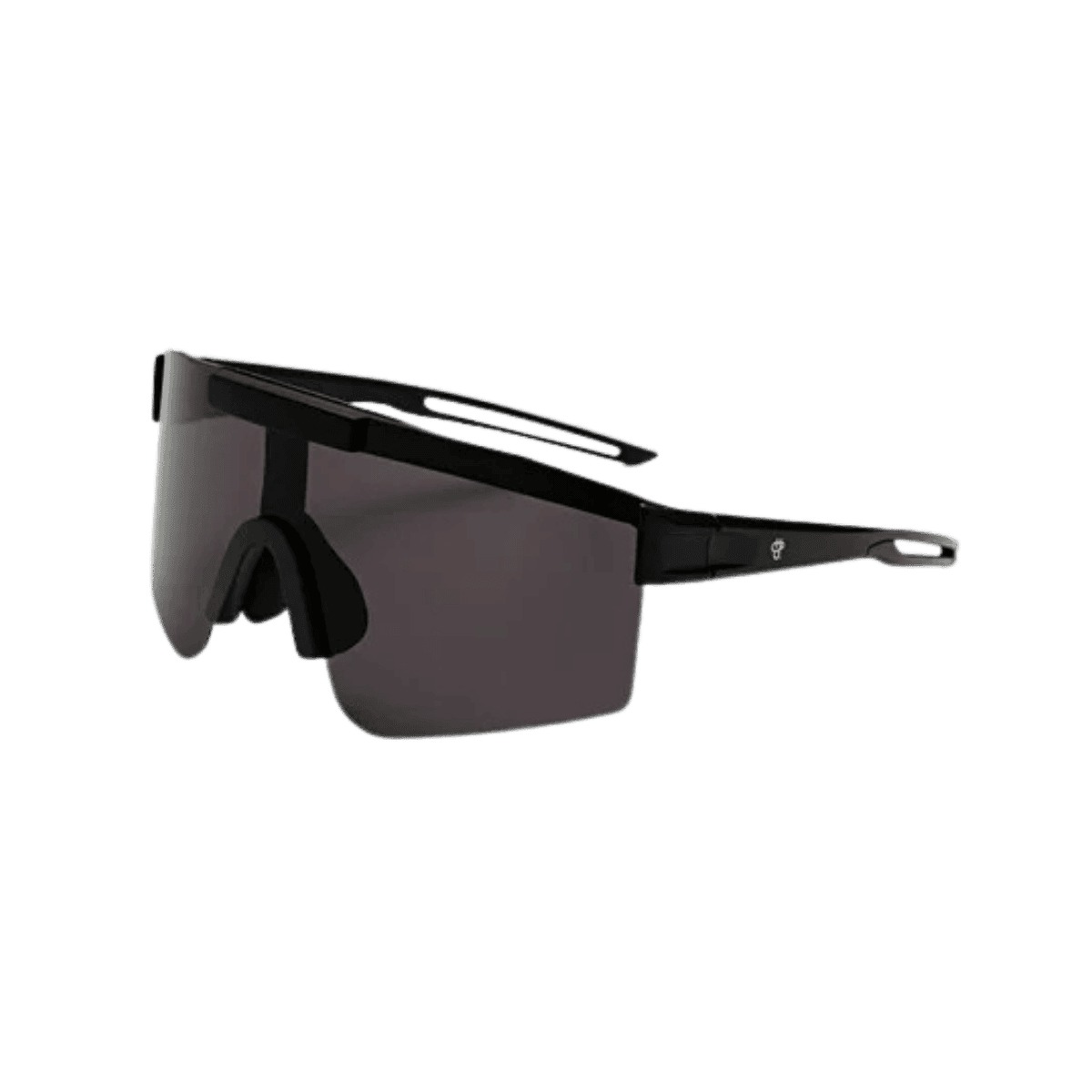 Zonnebril LUCA Matte Black / Black – Gepolariseerd UV400 (16133NN)