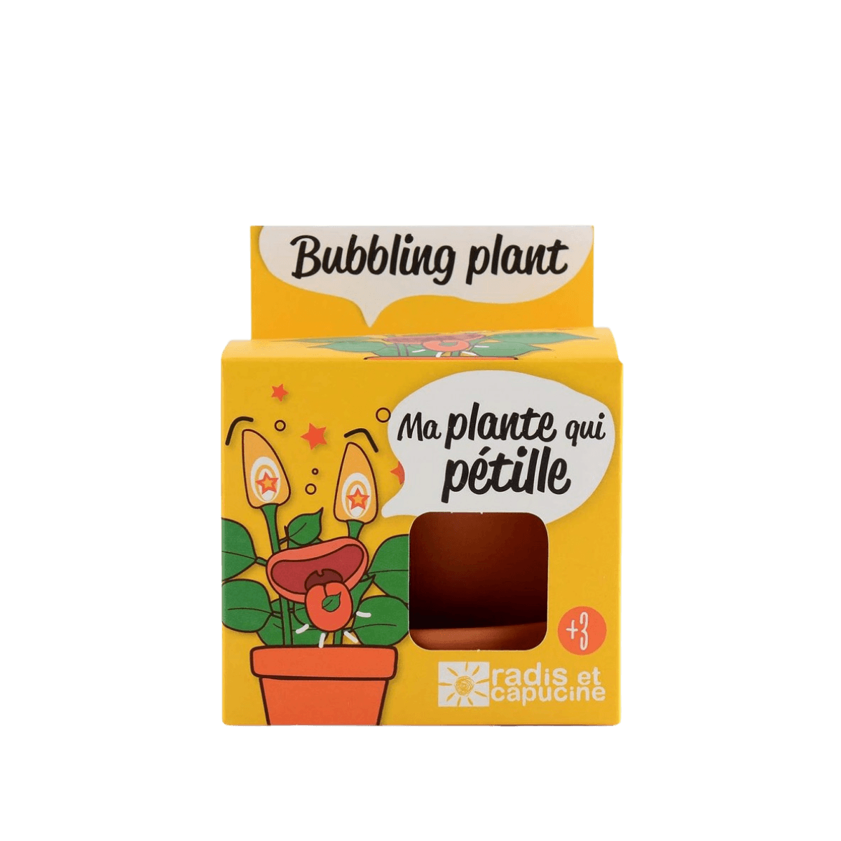 Bruisende plant om te kweken - Pot 8 cm